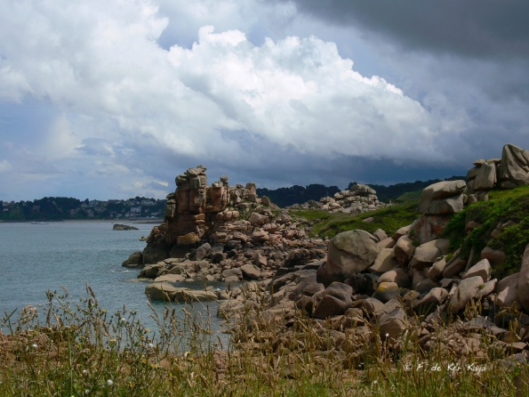 Menaces sur le squewel